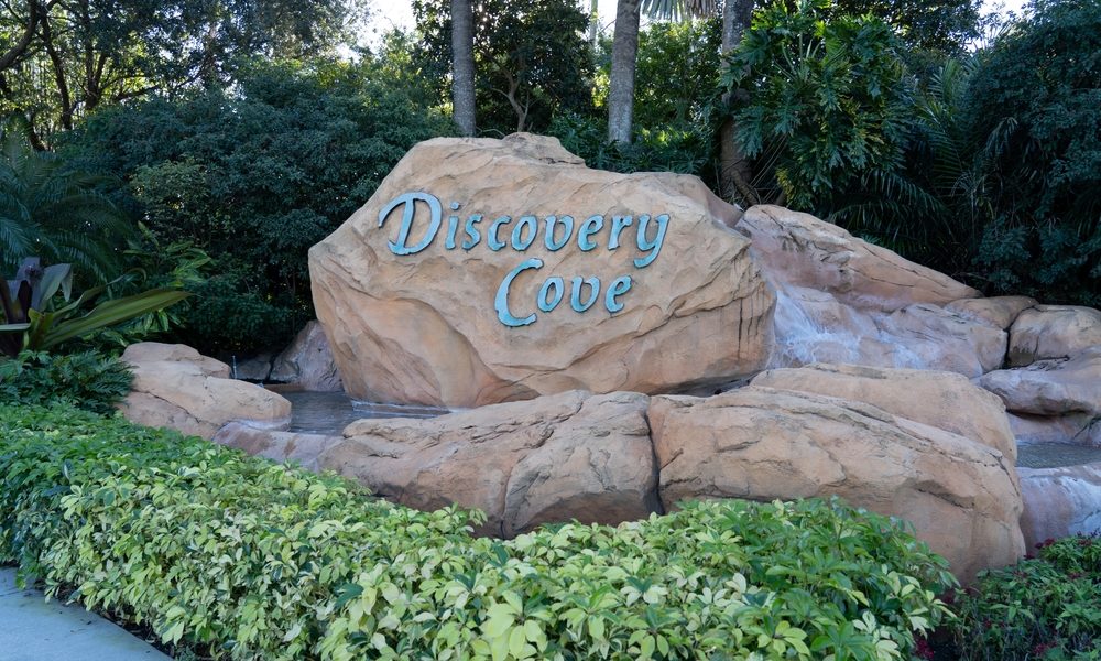 Orlando,,Fl,,Usa,-,January,6,,2022:,Discovery,Cove,Sign